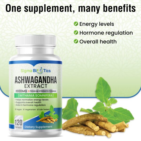 Ashwagandha - Image 6