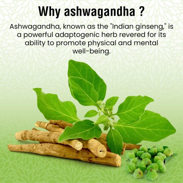 Ashwagandha - Image 7